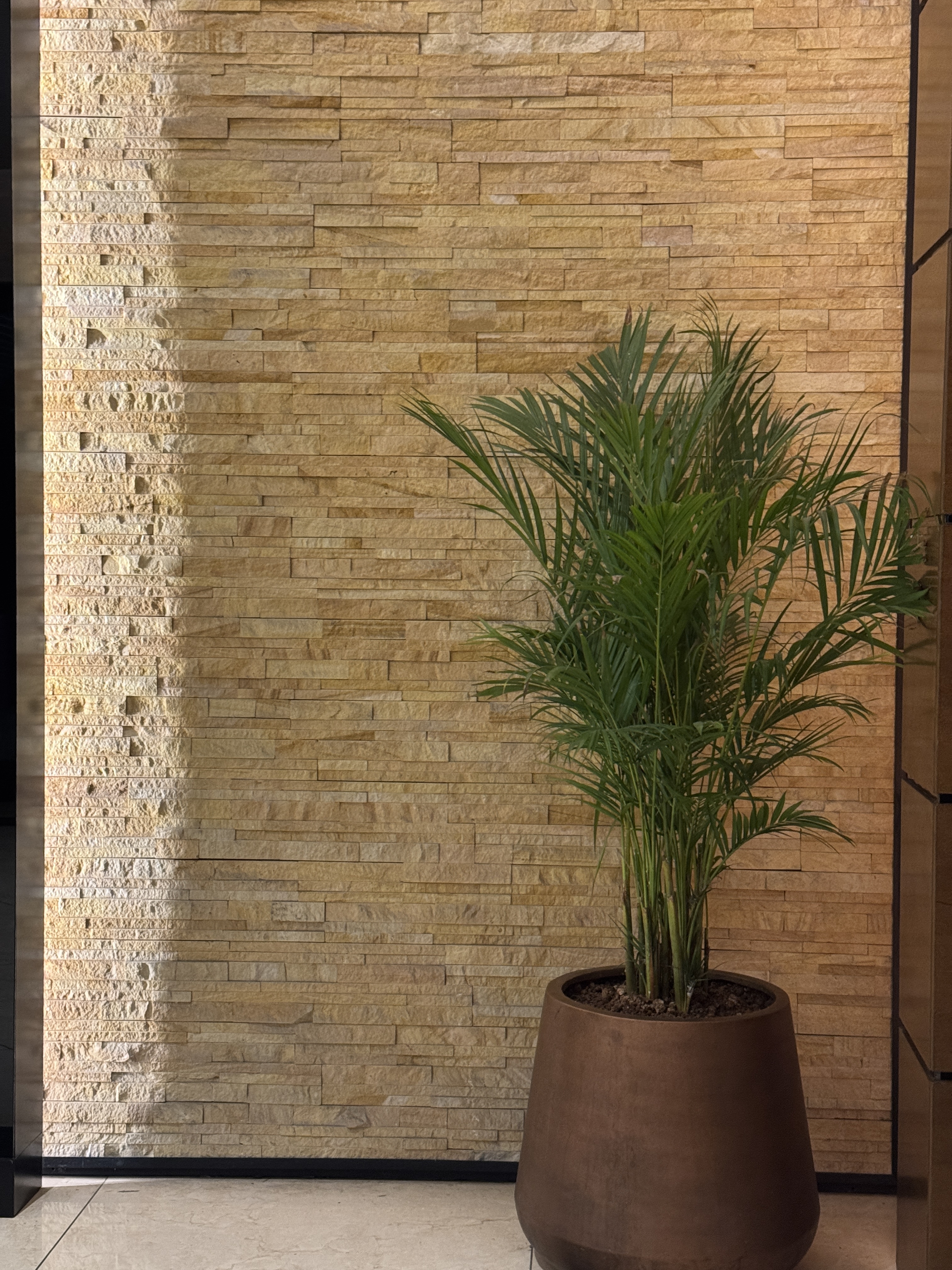 Cladding